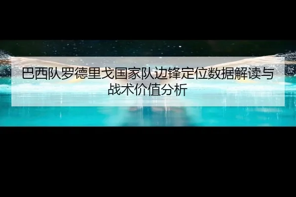 巴西队罗德里戈国家队边锋定位数据解读与战术价值分析
